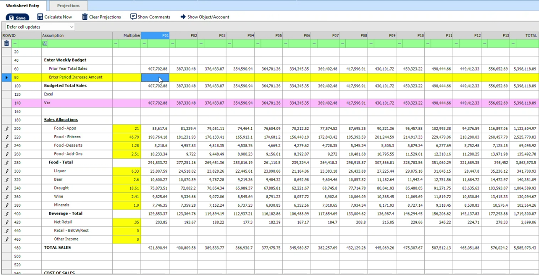 Dynamic Budgets budget entry screen with dimensional planning